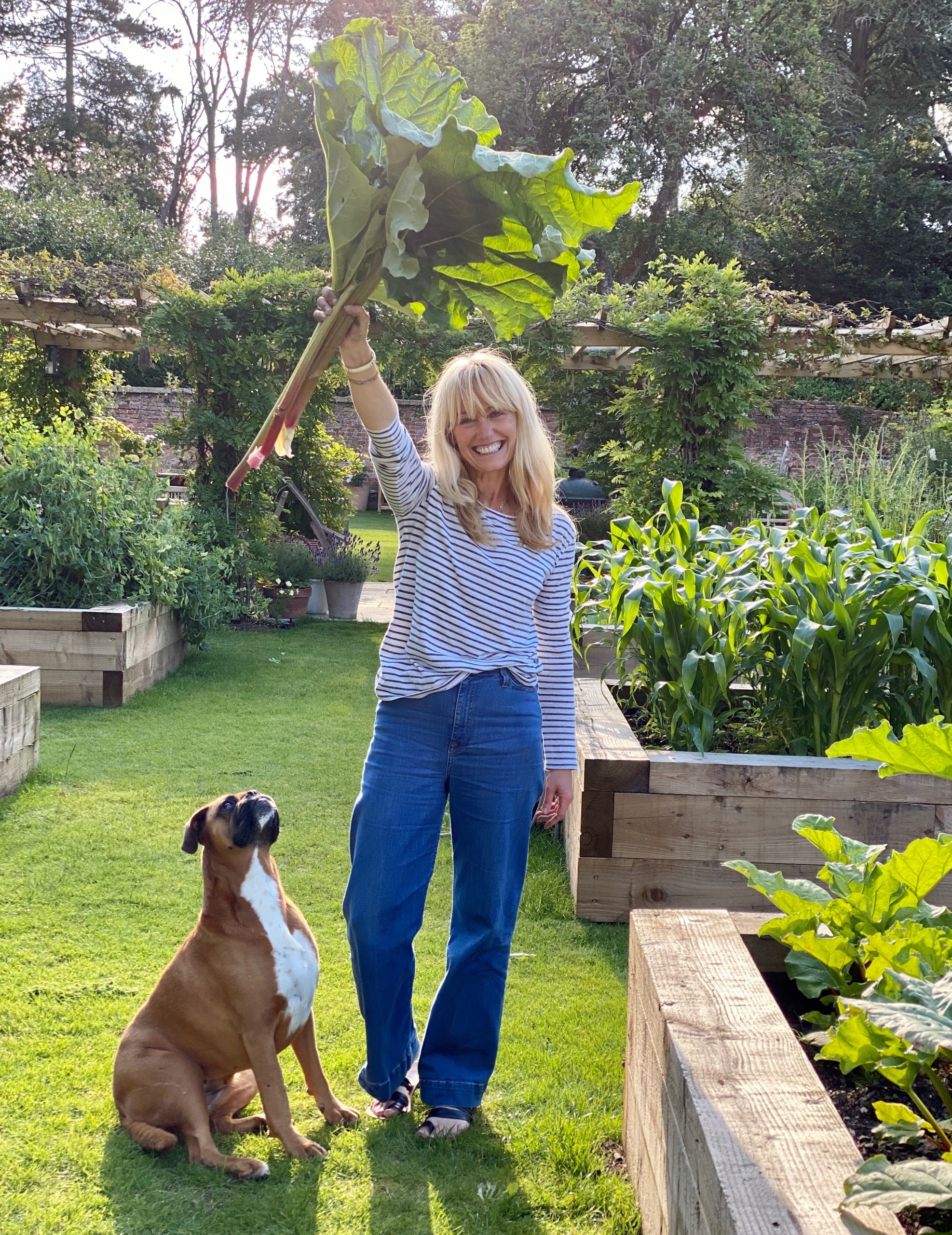 clo with the first harvest of rhubarb